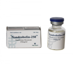 NandroBolin 250 mg (1 vial)