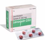 Levoquin 250 mg (5 pills)