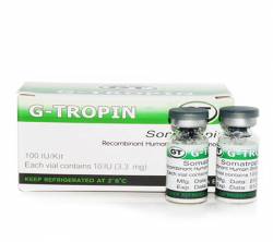 G-Tropin 100iu (1 kit)